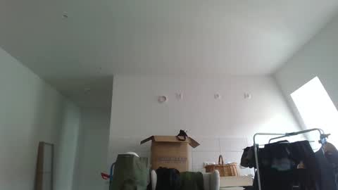 Garfield online show from March 2026 09:47:01 AM