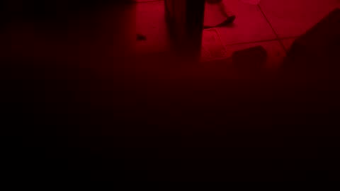 garrick358091 online show from November 2025 04:25:02 AM