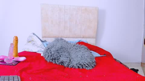 gatita13333321 online show from December 2024 10:53:02 AM