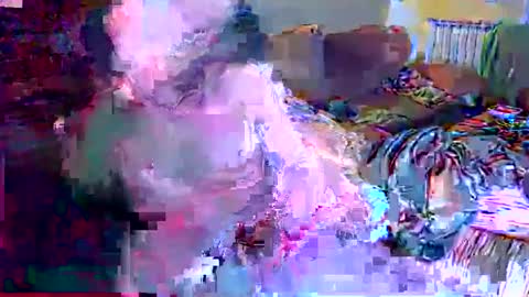 gatitosum32 online show from December 2024 04:44:01 AM