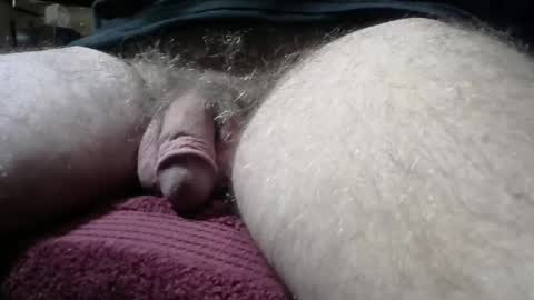 gemini_2 online show from December 2024 02:21:01 PM