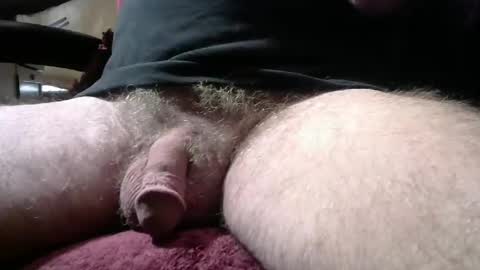 gemini_2 online show from January 2026 04:01:01 PM