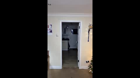 Snapshot of gemmaquinzel chatting on December 2025 04:14:02 PM gemmaquinzel online show from December 2025 04:14:02 PM