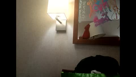 Snapshot of gemstone445 chatting on February 2026 08:30:02 AM gemstone445 online show from February 2026 08:30:02 AM