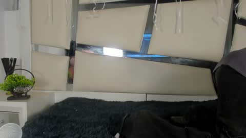 Genesis online show from November 2025 03:34:01 AM