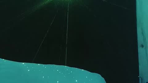 genitalwars online show from December 2025 07:21:01 PM