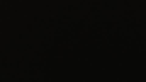 genitalwars online show from December 2025 11:40:02 AM