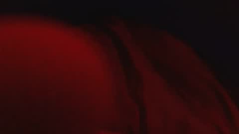 Snapshot of genitalwars chatting on March 2026 02:17:02 AM genitalwars online show from March 2026 02:17:02 AM