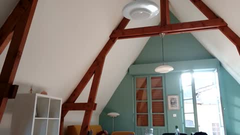 Snapshot of gentelassss chatting on November 2025 12:37:02 PM gentelassss online show from November 2025 12:37:02 PM