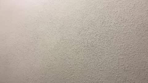 georginagina online show from February 2026 09:24:01 PM