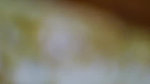 germanandy71 online show from November 2025 08:31:01 AM