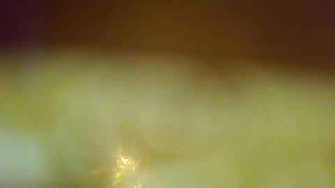 germanandy71 online show from December 2025 08:01:02 AM