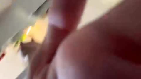 Sophie online show from July 2026 05:03:02 AM