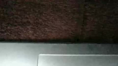 getemgone98 online show from April 2026 10:30:02 AM