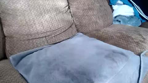 getiton64 online show from February 2026 04:54:01 PM