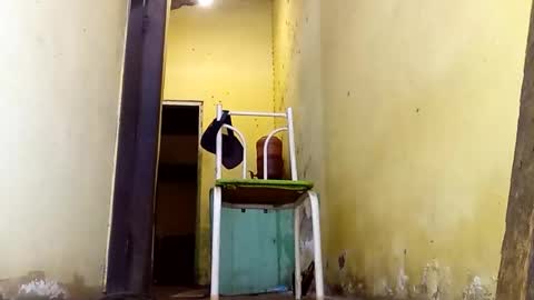 Gaby online show from February 2026 02:58:01 PM