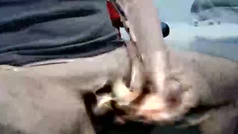 ghost1805 online show from October 2025 10:29:02 PM