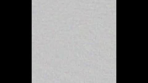 Snapshot of giaa_ross chatting on November 2025 12:04:01 PM Gia online show from November 2025 12:04:01 PM