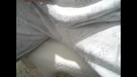 gifi1 online show from February 2026 08:10:02 PM