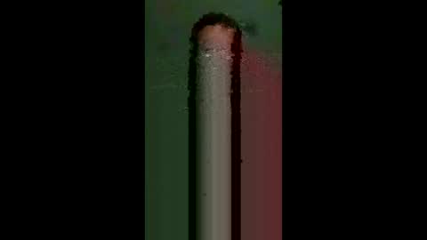 gimedat7412 online show from March 2026 07:47:02 AM