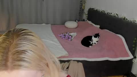Gin online show from May 2026 06:29:02 AM