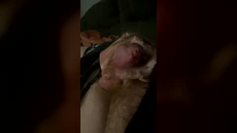 gingr6 online show from June 2026 05:30:01 AM