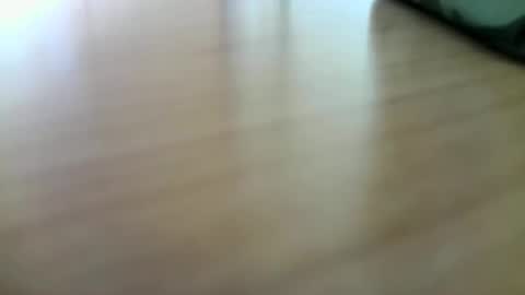 Snapshot of giovet chatting on December 2024 10:56:02 AM giovet online show from December 2024 10:56:02 AM