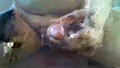 girafsnoop online show from November 2025 09:08:01 AM