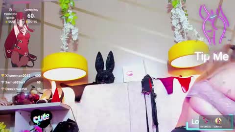 Girl Amada online show from March 2025 09:51:02 AM