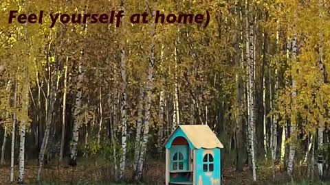 Snapshot of girl_u_never_met chatting on February 2026 05:33:01 PM Kristin online show from February 2026 05:33:01 PM