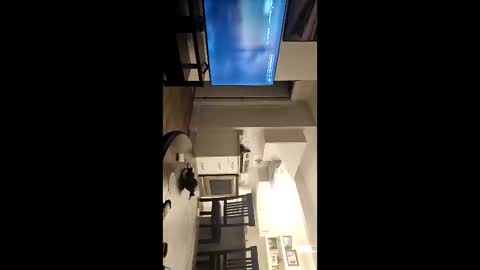 Snapshot of girthylax51 chatting on November 2025 03:49:02 AM BIG K online show from November 2025 03:49:02 AM