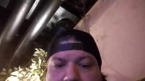 gleeguy online show from November 2025 06:57:02 AM