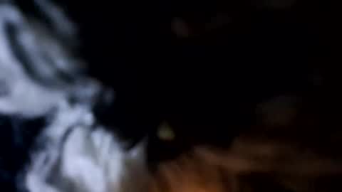 Snapshot of glizzy4u chatting on December 2025 05:31:02 PM glizzy4u online show from December 2025 05:31:02 PM