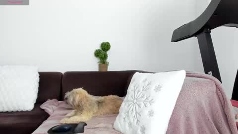 Alice online show from January 2026 10:26:01 PM