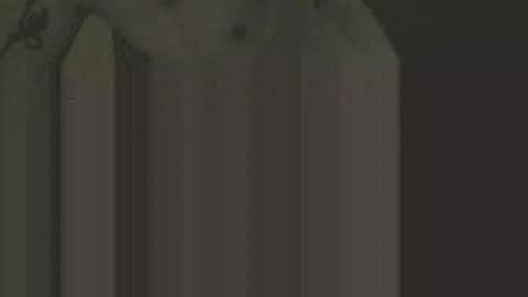 gnz310388 online show from February 2026 01:11:02 AM