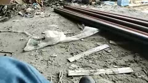 Snapshot of goal420 chatting on November 2025 01:50:01 PM goal420 online show from November 2025 01:50:01 PM