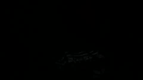 Snapshot of goatchocolate chatting on December 2024 05:45:02 AM goatchocolate online show from December 2024 05:45:02 AM