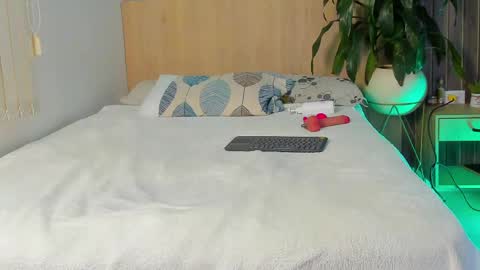 DIOSA online show from April 2026 11:47:02 AM