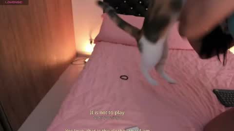 Snapshot of goddess_eli77 chatting on October 2025 02:53:01 AM goddess_eli77 online show from October 2025 02:53:01 AM