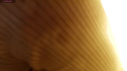 M A R T I N A  online show from January 2026 07:19:01 PM