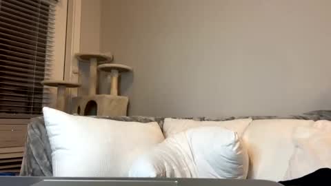 feyaa22 online show from December 2024 11:40:02 PM