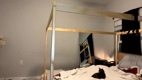 feyaa22 online show from January 2025 11:47:01 PM