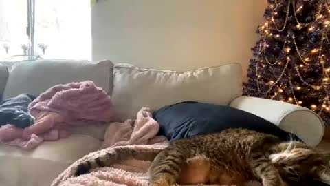 GoddessMayvn online show from December 2024 06:17:02 PM