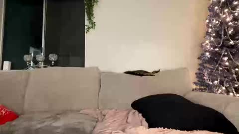 GoddessMayvn online show from December 2024 03:59:02 AM