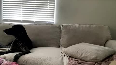 GoddessMayvn online show from May 2026 03:41:01 PM