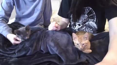 Goddess Raven online show from December 2024 11:47:01 PM