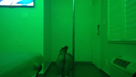 Snapshot of gogetter4life213 chatting on February 2025 04:32:02 PM gogetter4life213 online show from February 2025 04:32:02 PM