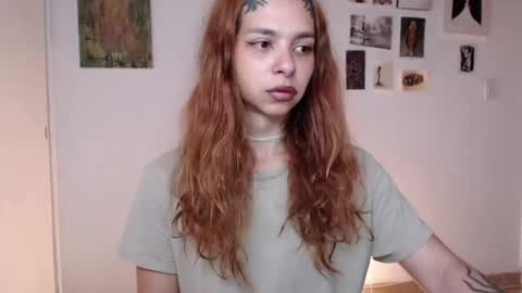 Alaska online show from April 2026 11:37:01 AM