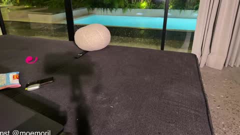 Aline meow   online show from February 2026 02:04:02 PM