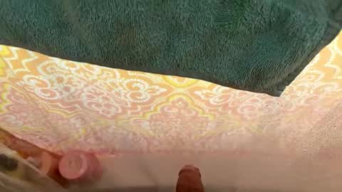 Snapshot of goldio27 chatting on November 2025 11:35:01 PM goldio27 online show from November 2025 11:35:01 PM